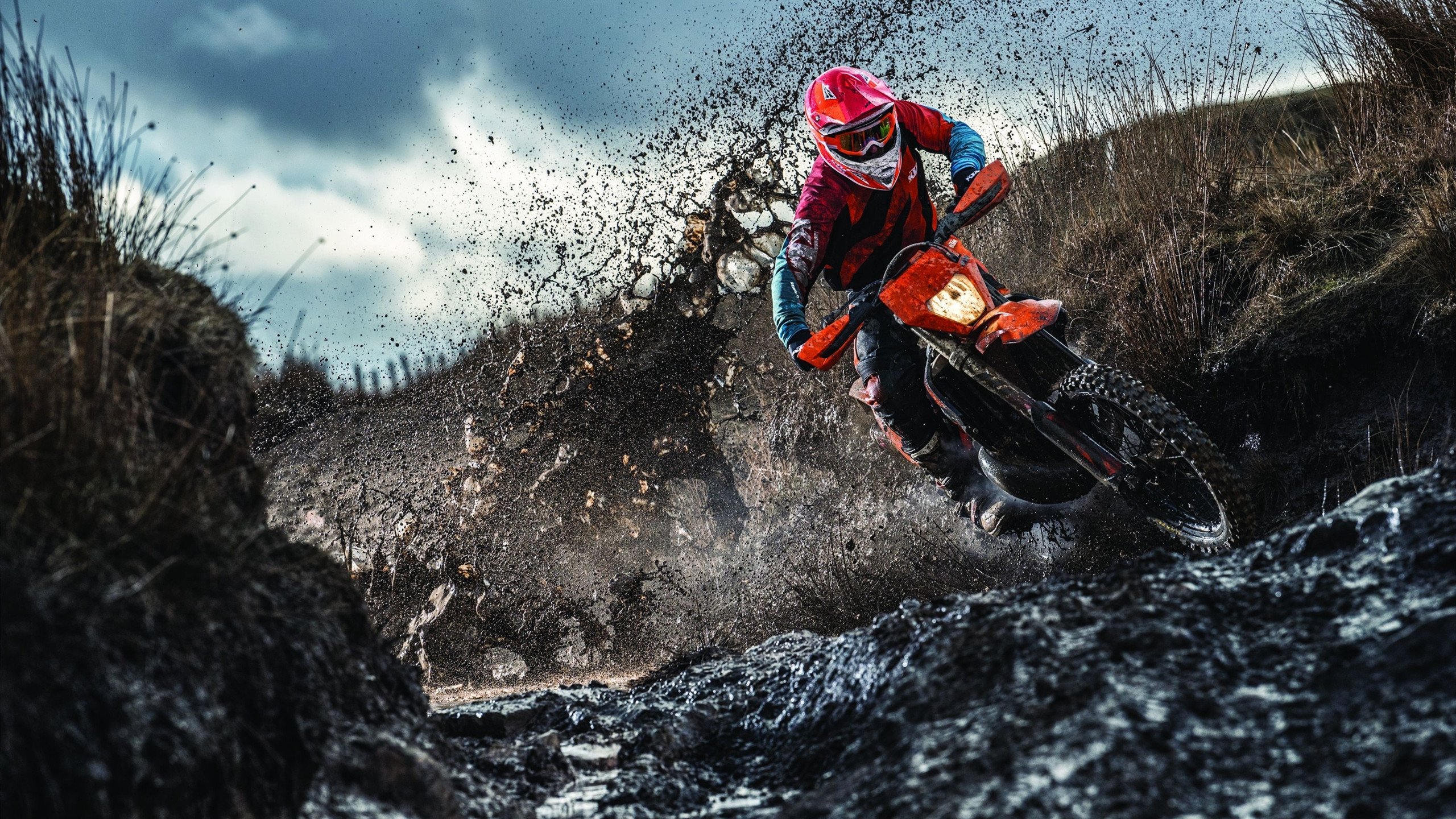 埃弗顿加强中路推进寻找破门机会，埃弗顿阵型